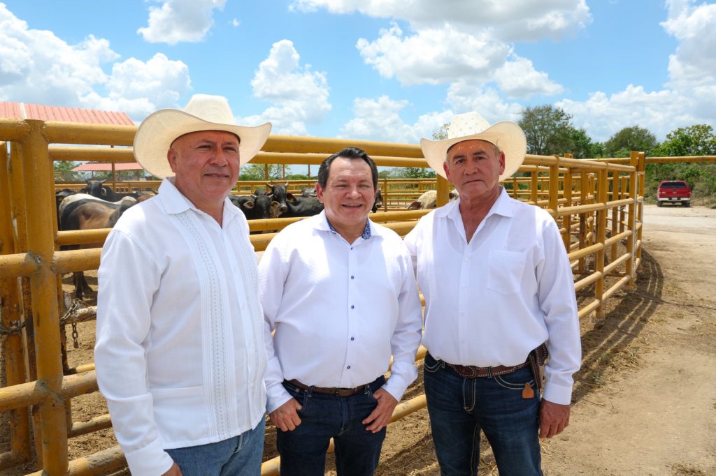 e5693f3a-6dd5-4002-9e5a-84e047c9a5e6