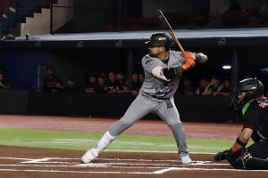 photo_4960977360967019776_y (1)