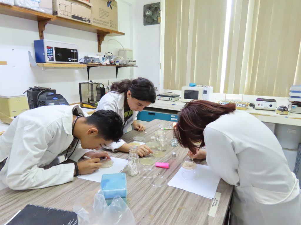 2025_06_06_TalentoCICY-prepa-y-secu (3)