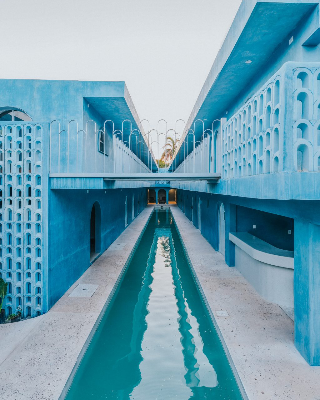 Amate 62 Abril 2025-07