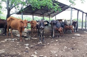 31a9a76c-7389-4d91-899d-523abfd411c7