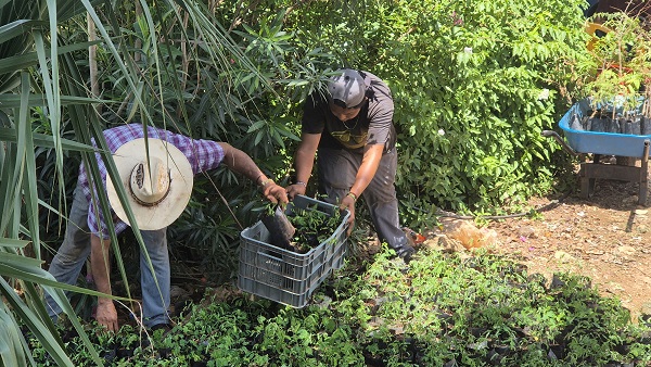 Comunicado 25_854 (3)