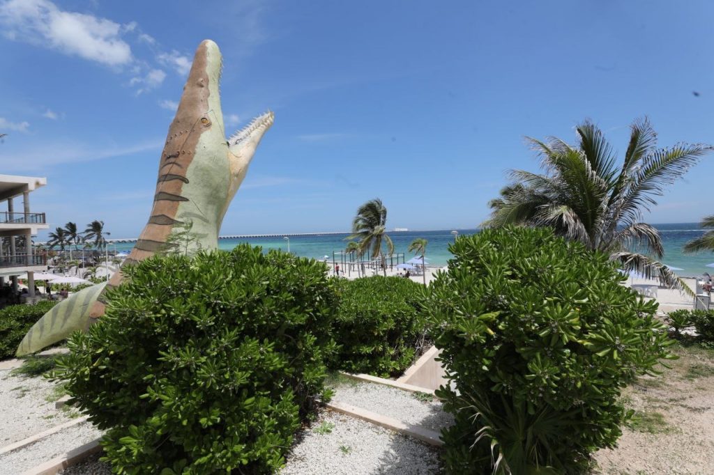 WhatsApp Image 2025-07-16 at 11.02.57 AM