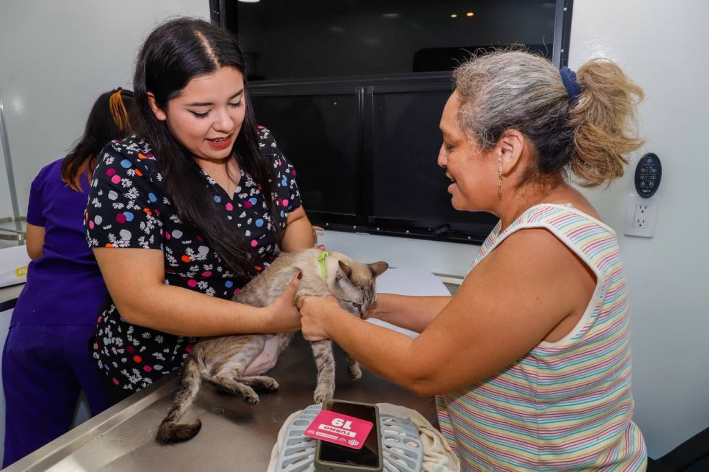 WhatsApp Image 2025-07-21 at 2.04.55 PM (1)