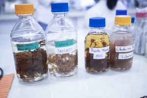 Comunicado 25_941 (1)