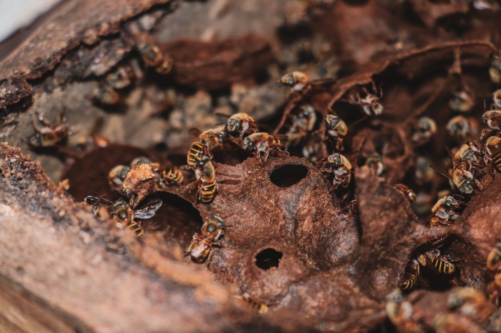 WhatsApp Image 2025-08-07 at 1.35.15 PM