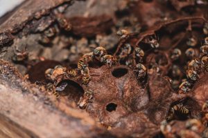 WhatsApp Image 2025-08-07 at 1.35.15 PM