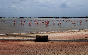 WhatsApp Image 2025-09-08 at 11.56.44 AM