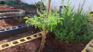 WhatsApp Image 2025-09-18 at 9.07.35 AM