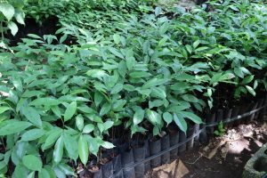 WhatsApp Image 2025-09-23 at 5.04.14 PM (2)