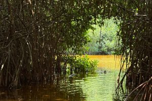 WhatsApp Image 2025-10-01 at 9.33.35 AM