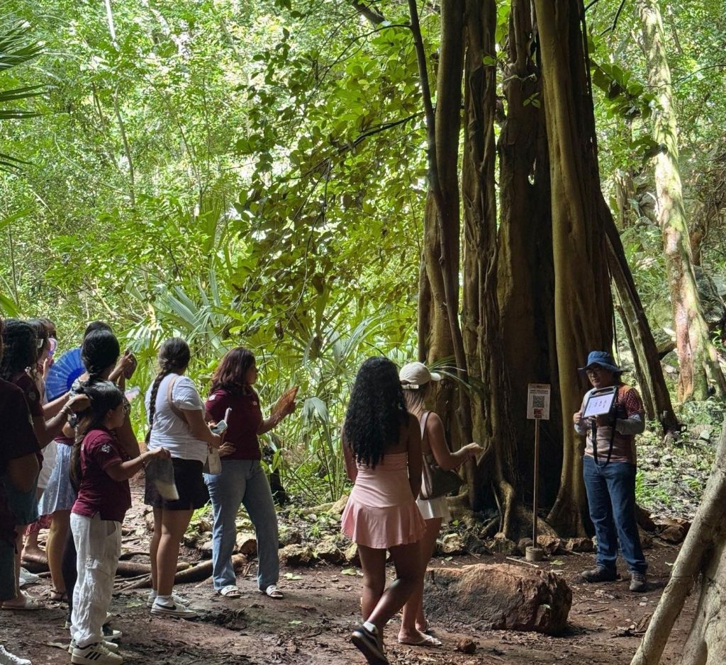 WhatsApp Image 2025-10-06 at 3.16.38 PM