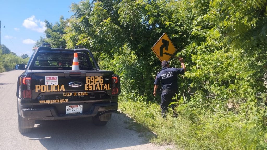 WhatsApp Image 2025-10-14 at 8.43.39 AM