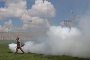 WhatsApp Image 2025-10-23 at 5.01.16 PM