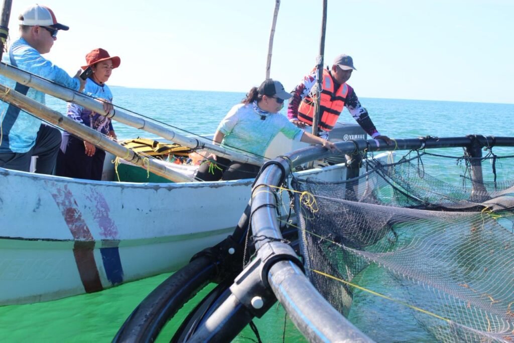 WhatsApp Image 2025-12-19 at 3.27.03 PM