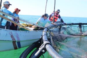 WhatsApp Image 2025-12-19 at 3.27.03 PM