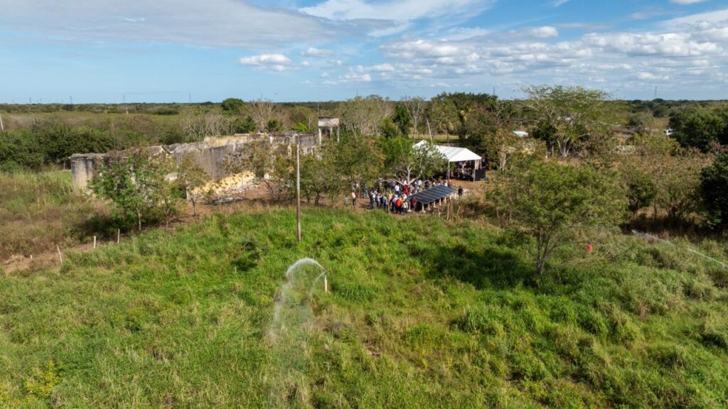 WhatsApp Image 2025-12-27 at 4.26.21 PM