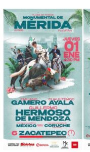 WhatsApp Image 2025-12-29 at 4.23.37 PM