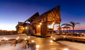 WhatsApp Image 2025-12-30 at 12.08.01 PM