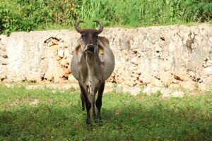 WhatsApp Image 2026-01-09 at 4.00.36 PM