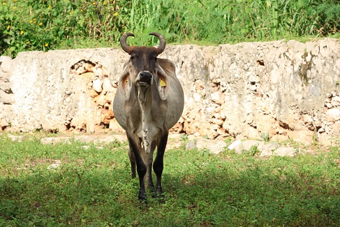 WhatsApp Image 2026-01-09 at 4.00.36 PM