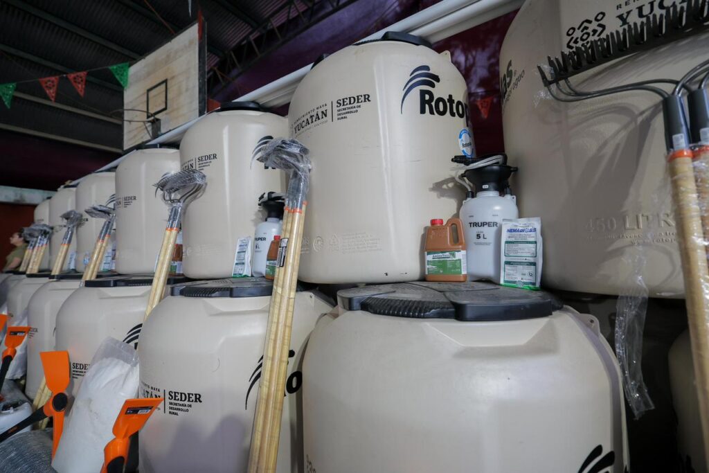 WhatsApp Image 2026-01-15 at 5.11.49 PM