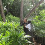 Invitan a la población a optar por plantas nativas de Yucatán.