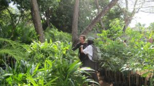 2026_venta-anual-plantas-CICY (1)