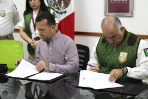 WhatsApp Image 2026-02-12 at 12.58.03 PM