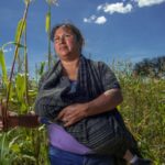 La mujer mexicana, parte fundamental en la industria agroalimentaria.