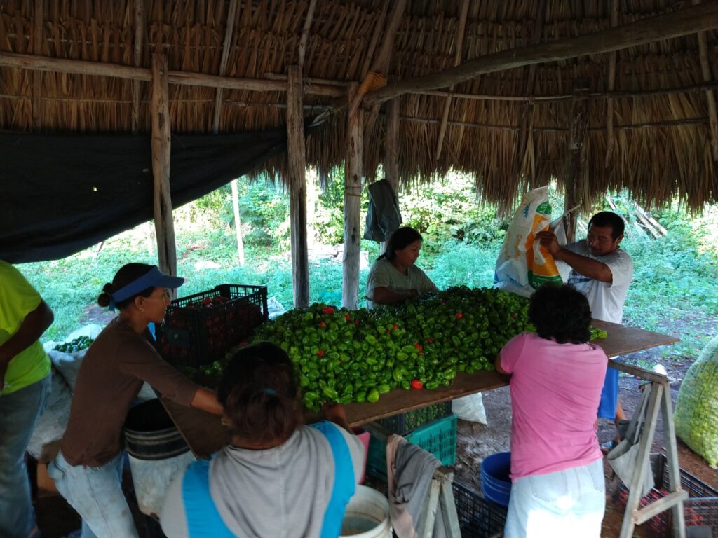 WhatsApp Image 2026-03-11 at 6.11.42 PM