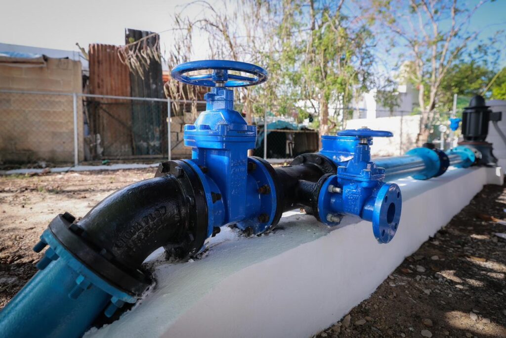 WhatsApp Image 2026-03-22 at 4.12.11 PM