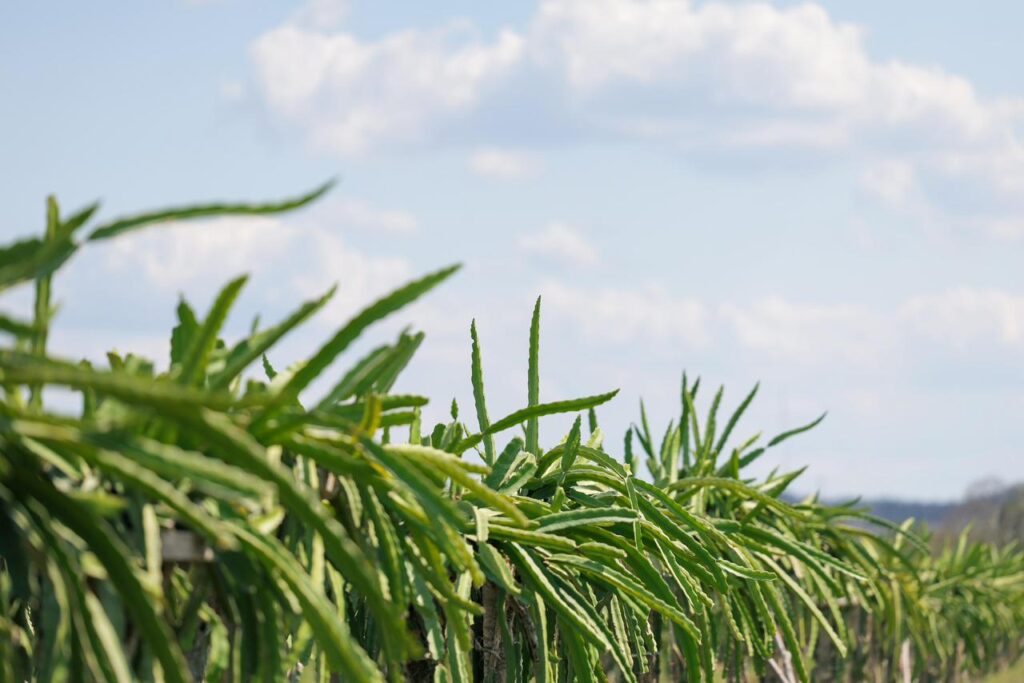 WhatsApp Image 2026-04-01 at 3.14.13 PM