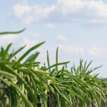 Atienden autoridades estatales caso relacionado con persona lesionada en Ticul