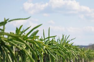 WhatsApp Image 2026-04-01 at 3.14.13 PM