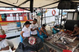 WhatsApp Image 2026-04-01 at 4.06.12 PM (1)