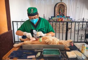 WhatsApp Image 2026-04-04 at 5.00.04 PM