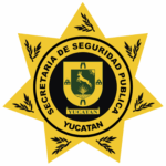 SSP MANTIENE VERIFICACIONES CONFORME A LA NORMATIVIDAD VIGENTE